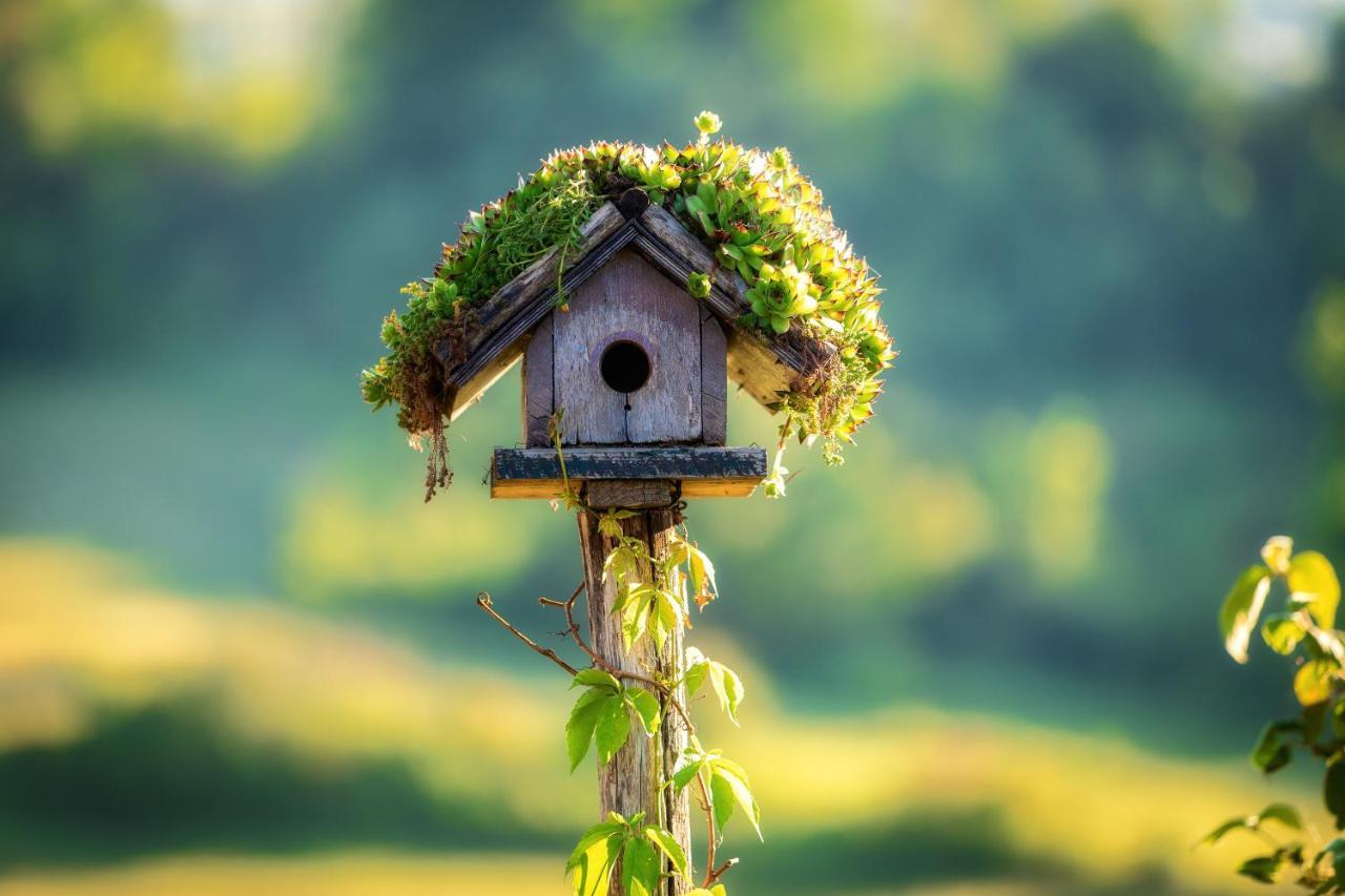 Farmstay Kotić Slunj Zewnętrze zdjęcie